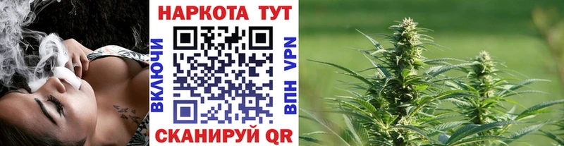 Магазины продажи наркотиков Сенгилей Alpha PVP  МАРИХУАНА 