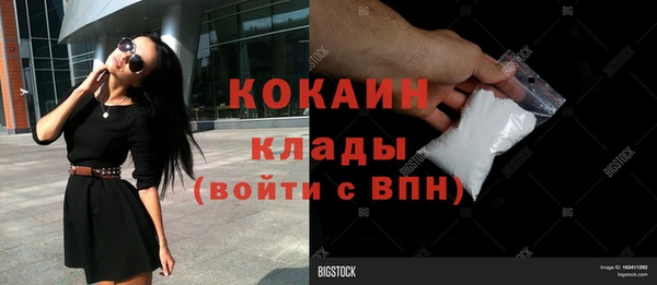 хмурый Алексеевка