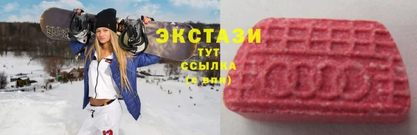 хмурый Алексин