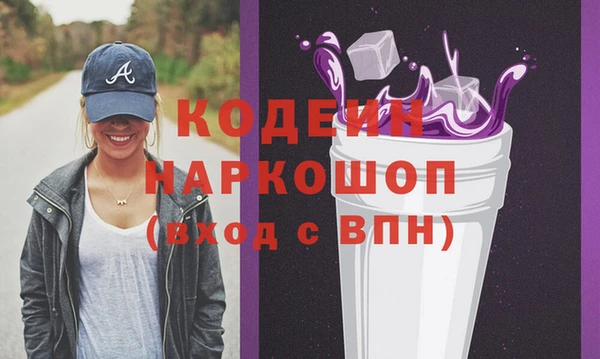 хмурый Алексин