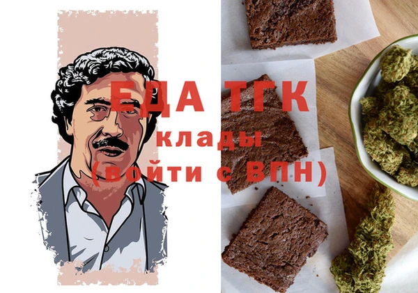 хмурый Алексин